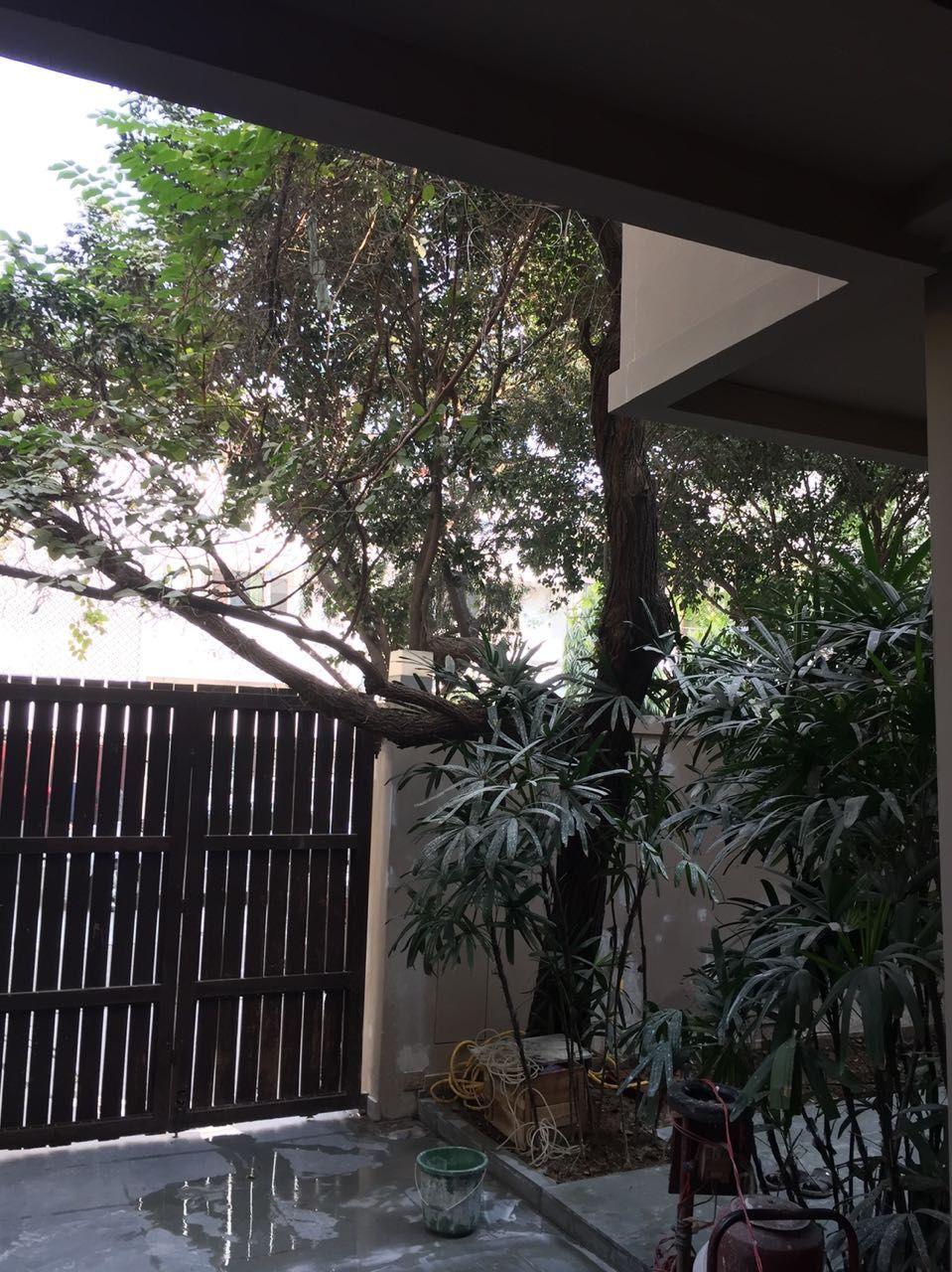 5 Bedrooms 5 Baths Independent House/Villa for Sale in, Defence Colony, , Delhi South