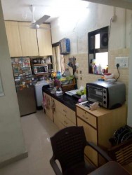 1 BHK Flats/Apartments for Rent 