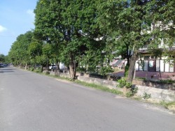 Residential Land for Sale in Gomti Nagar, Lucknow