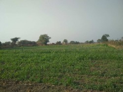 Agricultural/Farm Land 