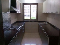 1 BHK Flats/Apartments for Rent