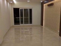 4BHK 5Baths Independent/Builder Floor for Sale