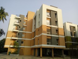 3 BHK 2 Baths Residential Flat for Rent