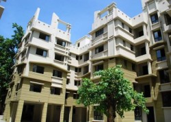 3 BHK 2 Baths Residential Flat for Rent