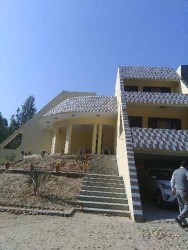 7 BHK Houses/Villas for Sale 