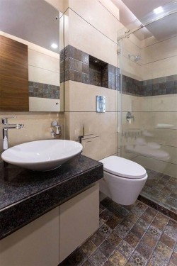 3 BHK 3 Baths Independent/Builder Floor for Rent